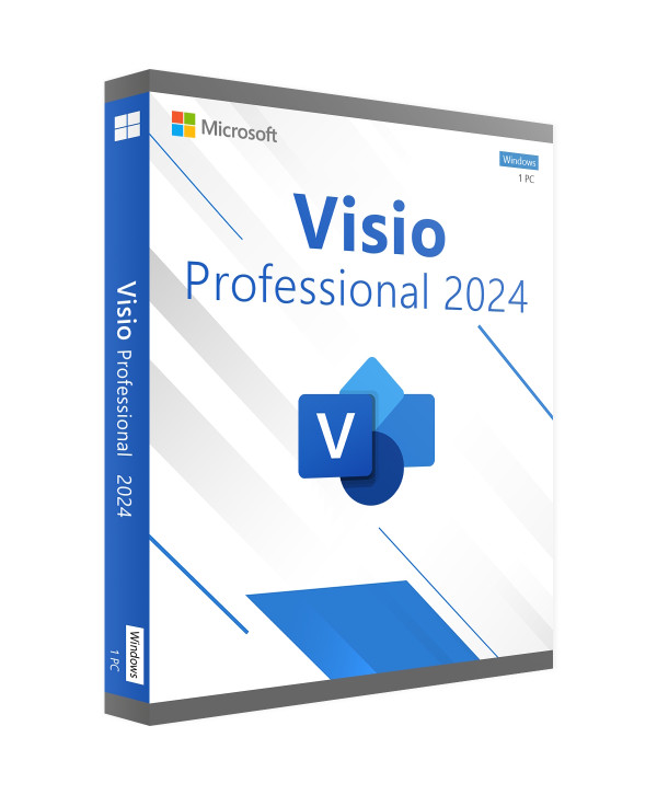 visio-2024-professionnel-pro-professional-bind